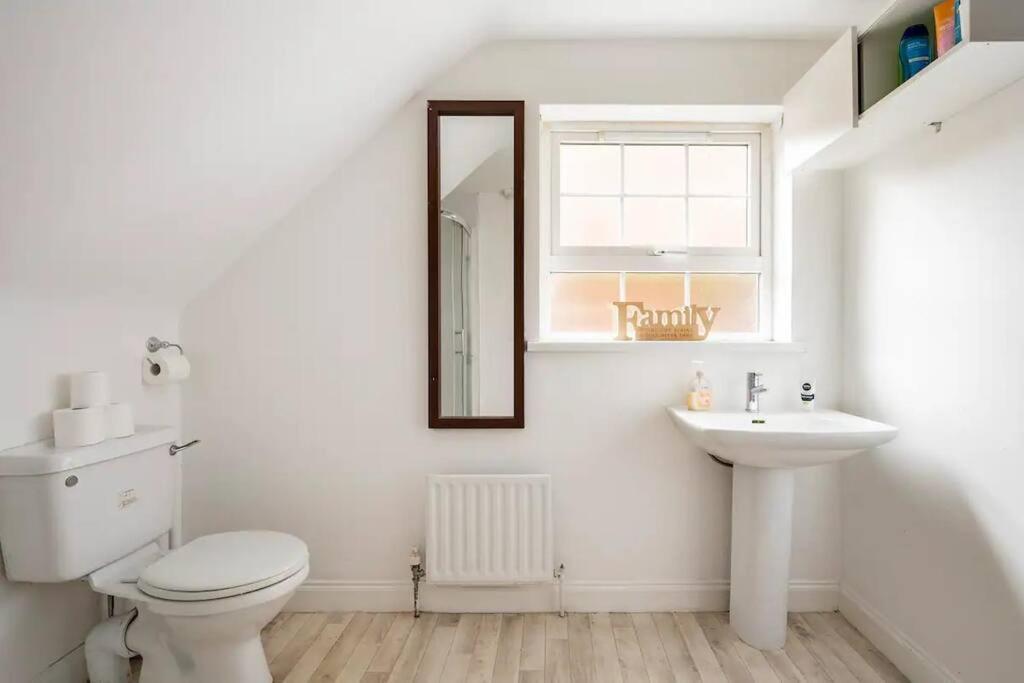Lovely One Bedroom Flat. Belfast Dış mekan fotoğraf