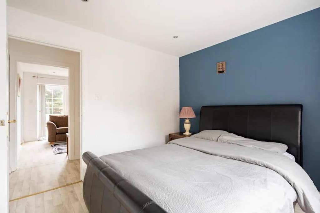 Lovely One Bedroom Flat. Belfast Dış mekan fotoğraf